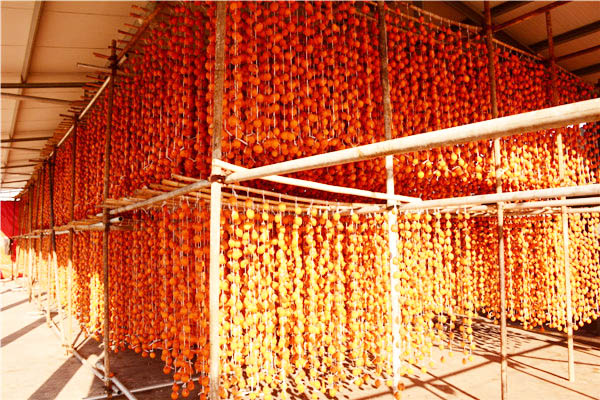 柿饼生产厂家——大地