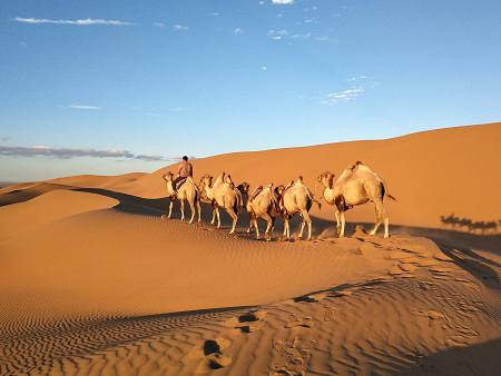 內蒙古沙漠旅游費用多少-內蒙古靠譜的內蒙古沙漠旅游服務公司